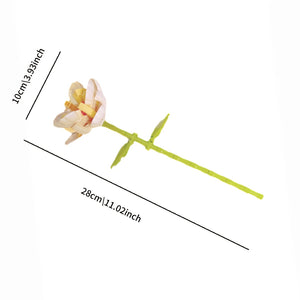 TWO CREAM PEONIES | 100 pieces