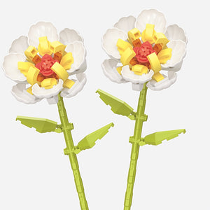 TWO CREAM PEONIES | 100 pieces