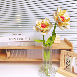 TWO CREAM PEONIES | 100 pieces
